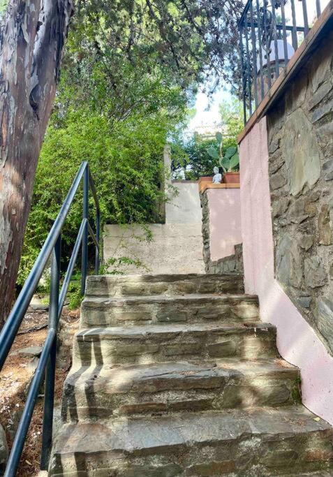 Charmante Maison En Plein Coeur De Collioure Villa Kültér fotó